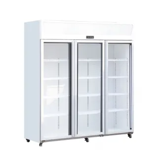 3 Doors Beverage Cooler