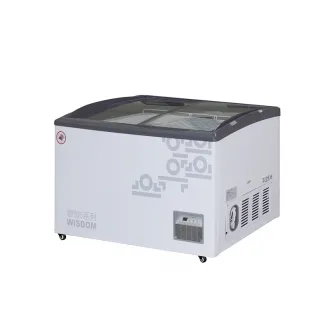 315L Icecream Freezer