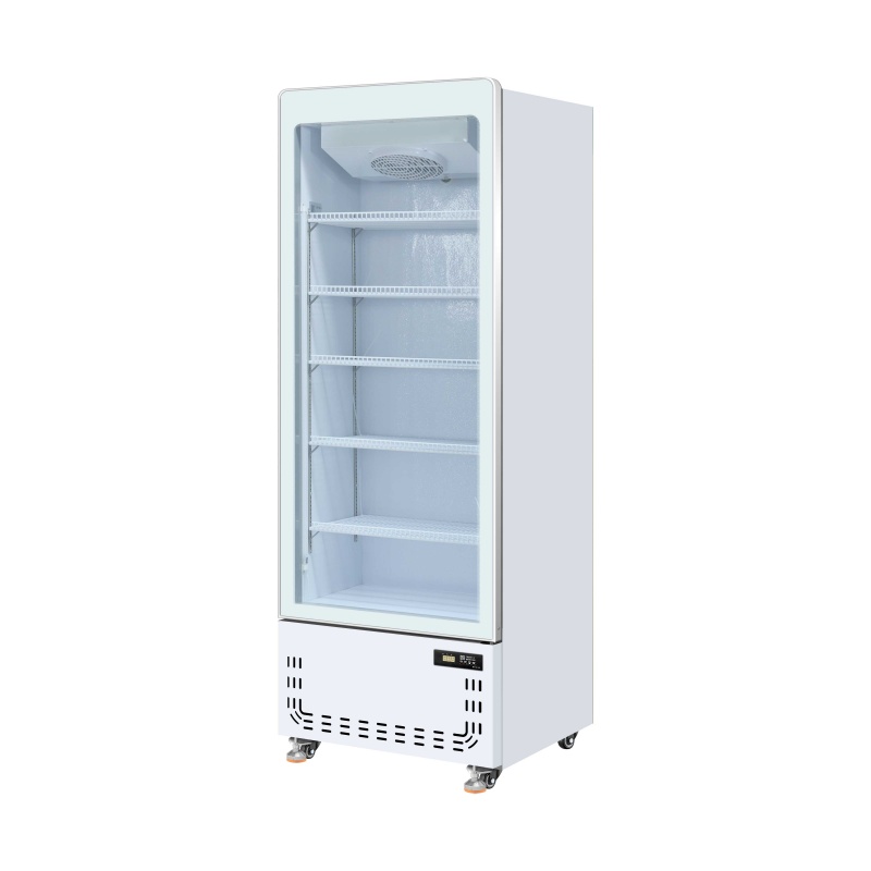 500L Upright Glass Door Visi Cooler(White)