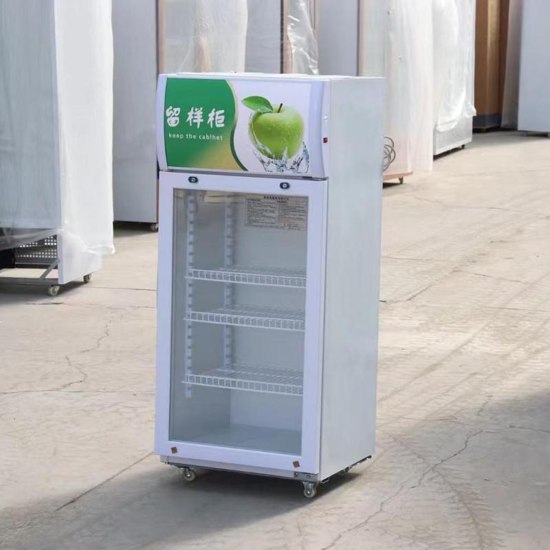 Small refrigerator(food fresh keeping)