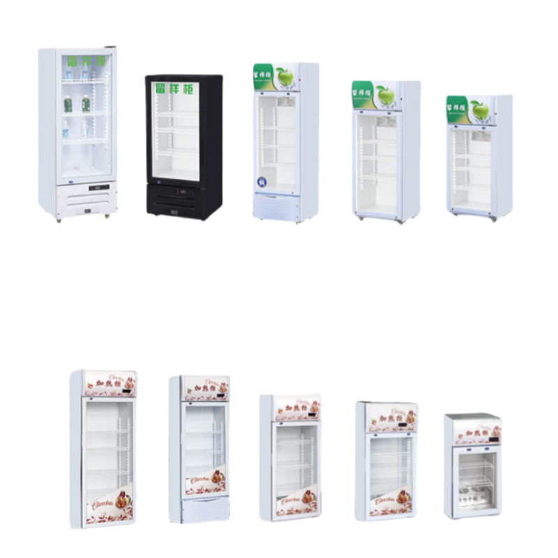 Small Showcase(Refrigerator or Warmer)