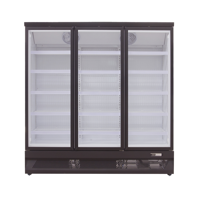 3 Door Upright Freezer-Bottom Mount(Black)