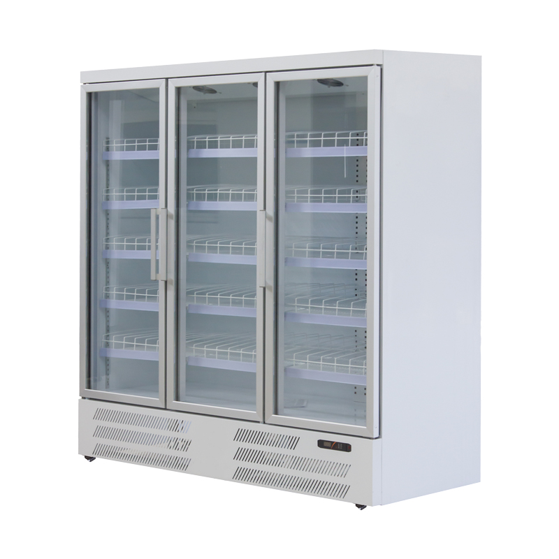 AC Upright Refrigerator-Bottom Mount