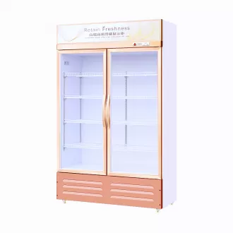 Double Door Refrigerator