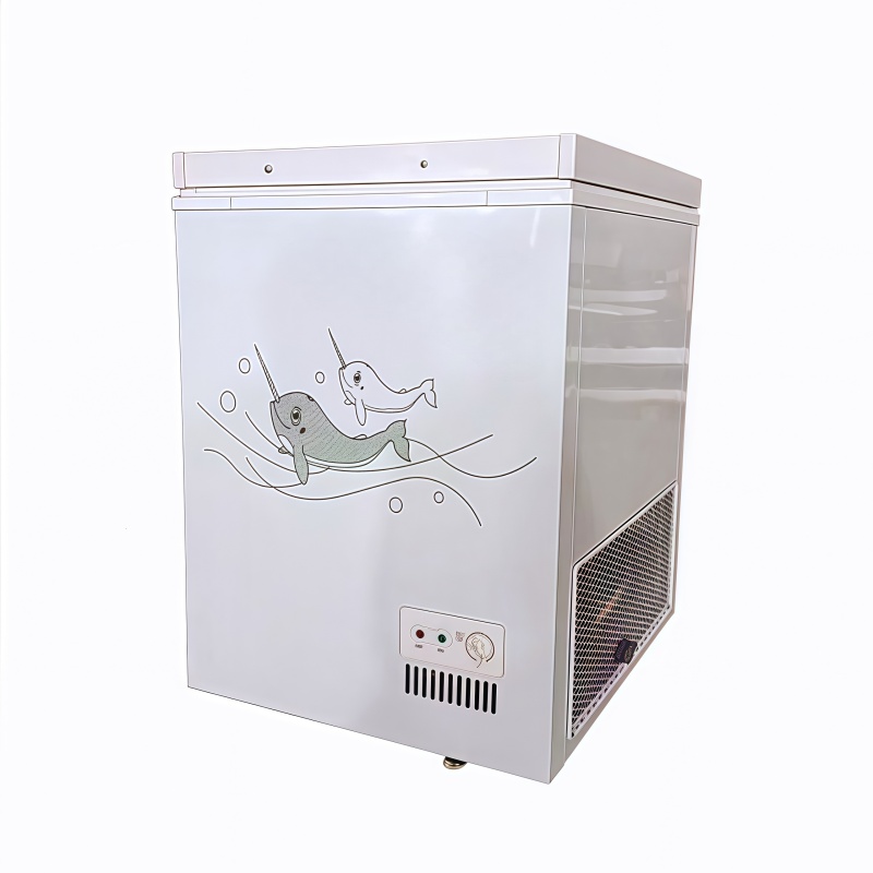Chest Freezer