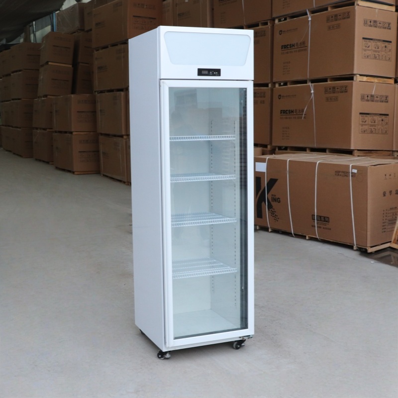 1 Door Beverage Cooler