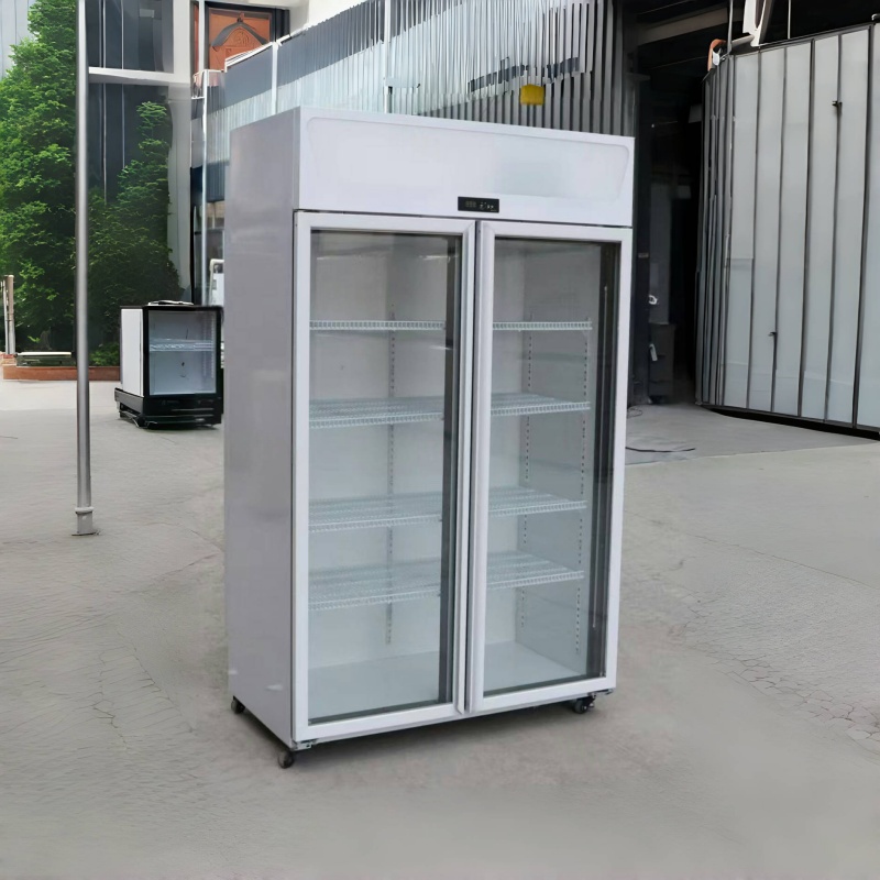 2 Door Beverage Cooler