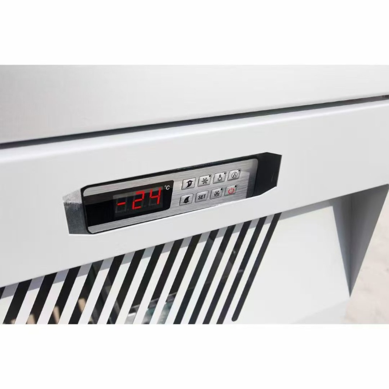 2 Door Upright Freezer-Bottom Mount