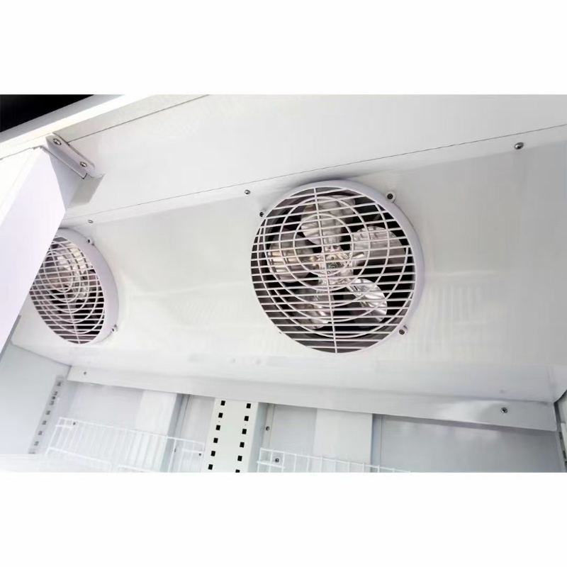 3 Door Upright Freezer-Bottom Mount