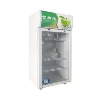 Small Refrigerator 01