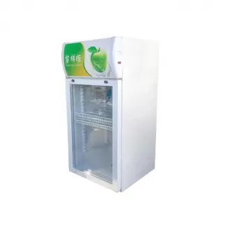 Small Refrigerator