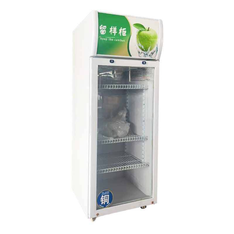 Small Refrigerator