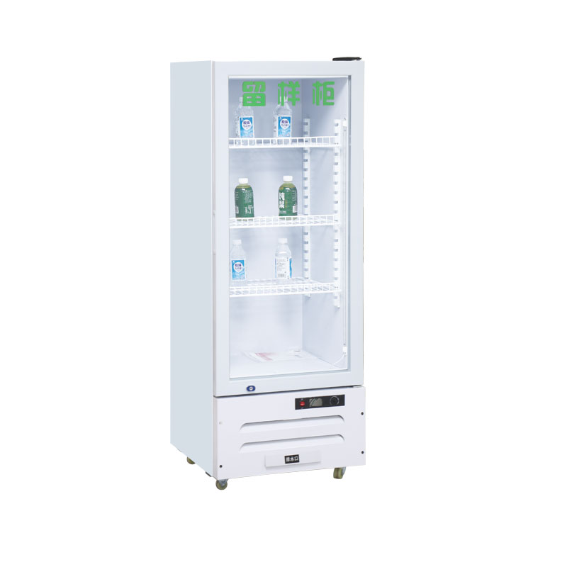 Small Refrigerator