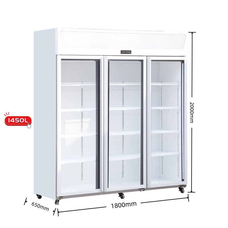 3 Doors Beverage Cooler