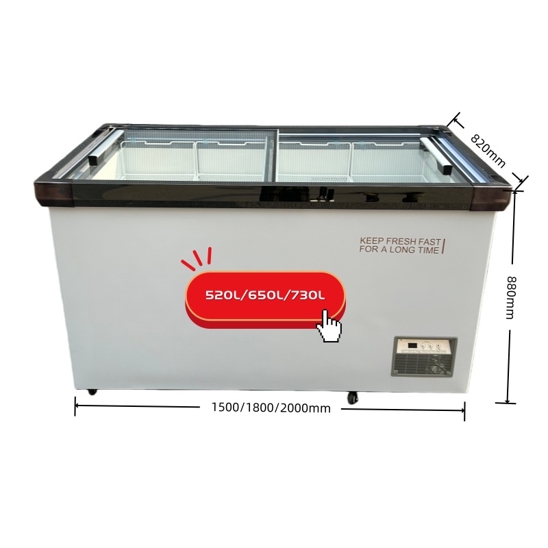 Glass Door Deep Freezer