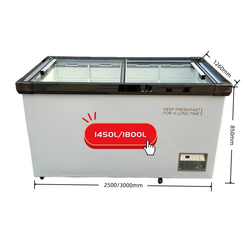 Glass Door Deep Freezer