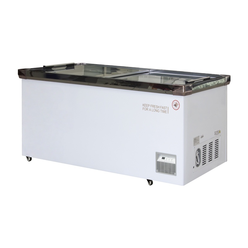 Glass Door Deep Freezer